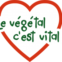 OV15-logoDEF-2