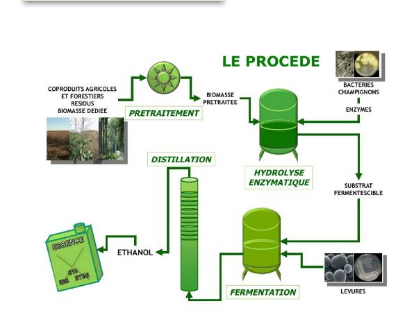 bioethanol de premiere generation