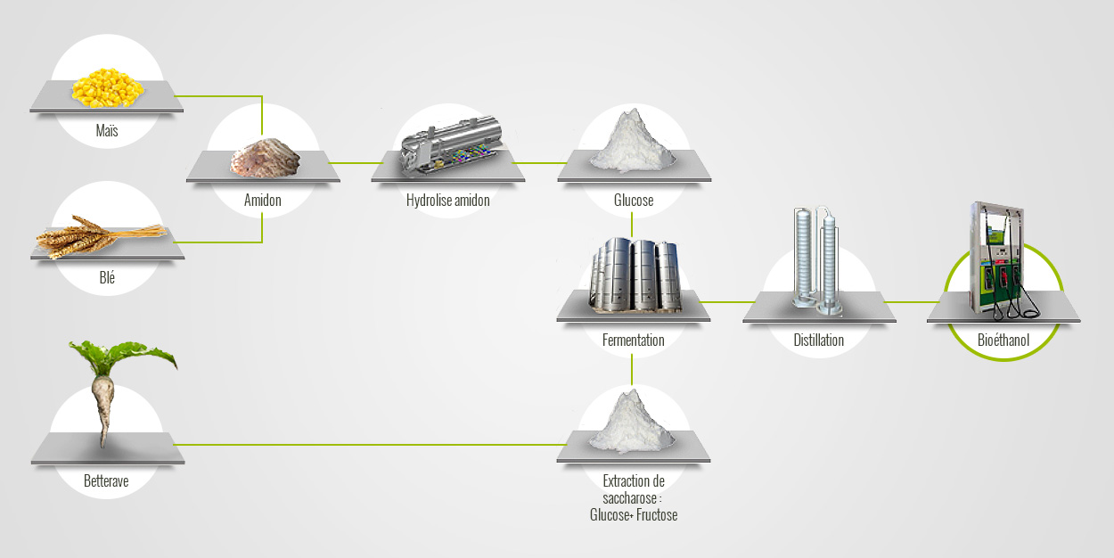 https://www.bioethanolcarburant.com/wp-content/uploads/2013/11/Illustration-Fabrication-Bioethanol1.jpg
